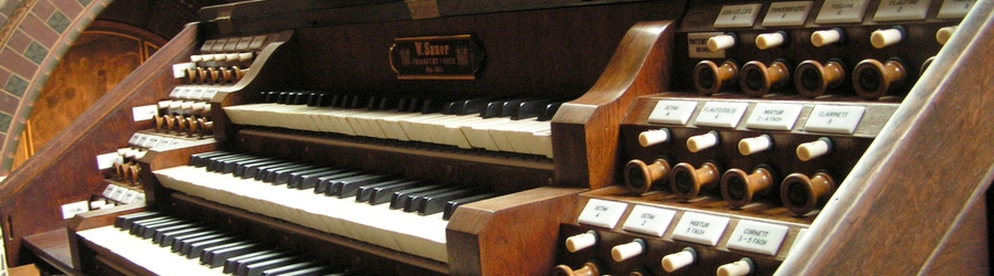 Organ